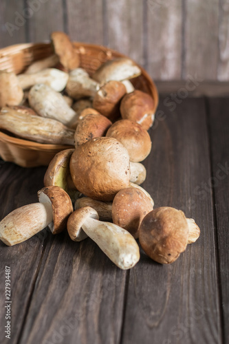 Basket with mushrooms