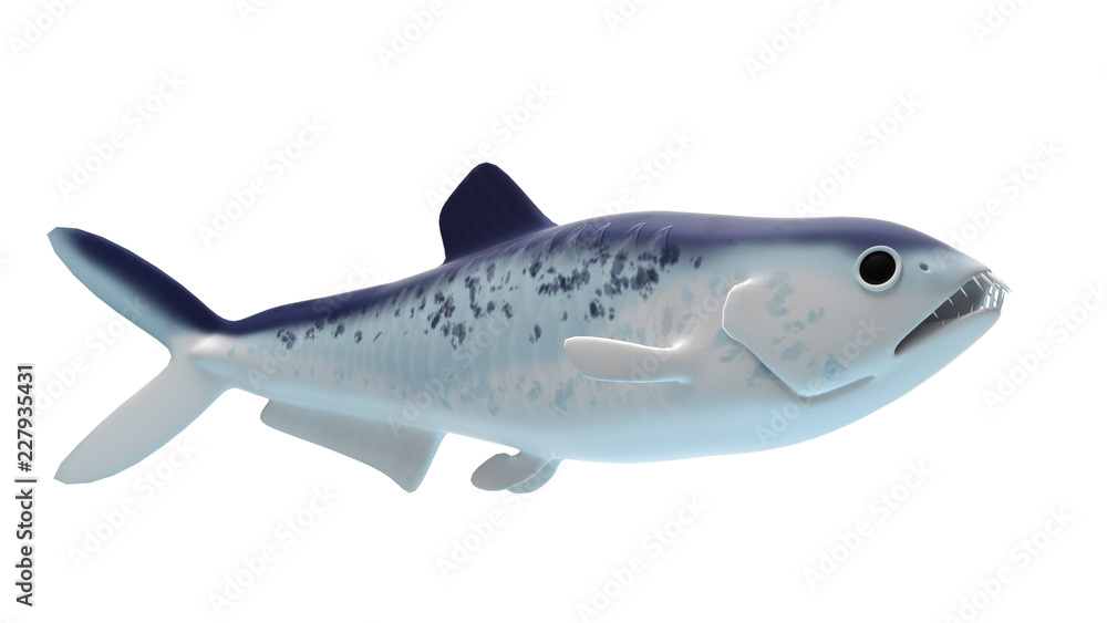 Fototapeta premium 3d rendered illustration of an enchodus