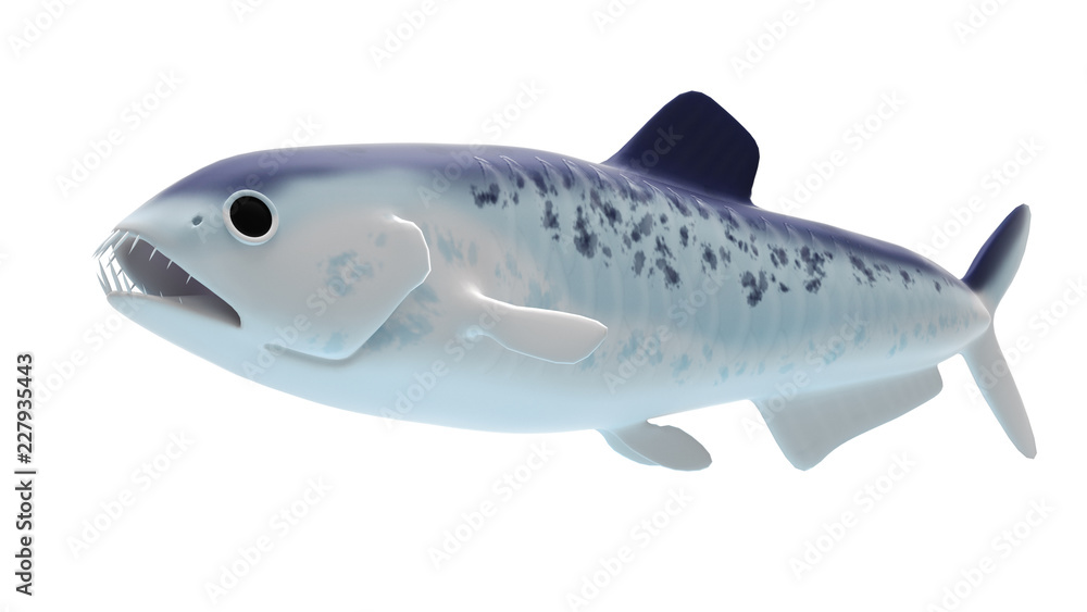 3d rendered illustration of an enchodus 3d rendered illustration of an enchodus
