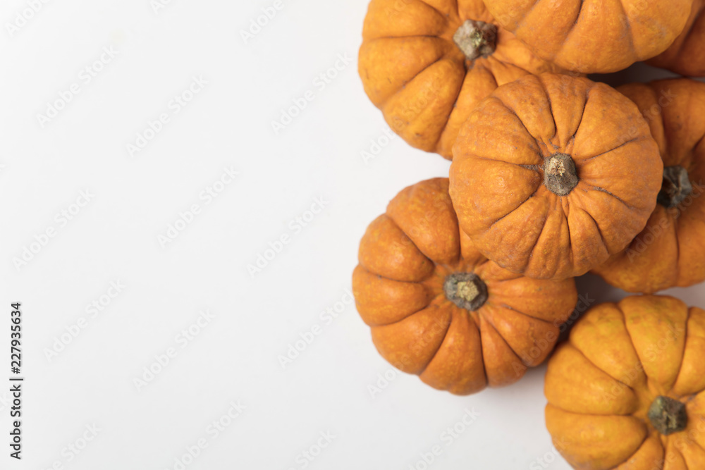 Mini munchkin pumpkin festive background Mini munchkin pumpkin festive background