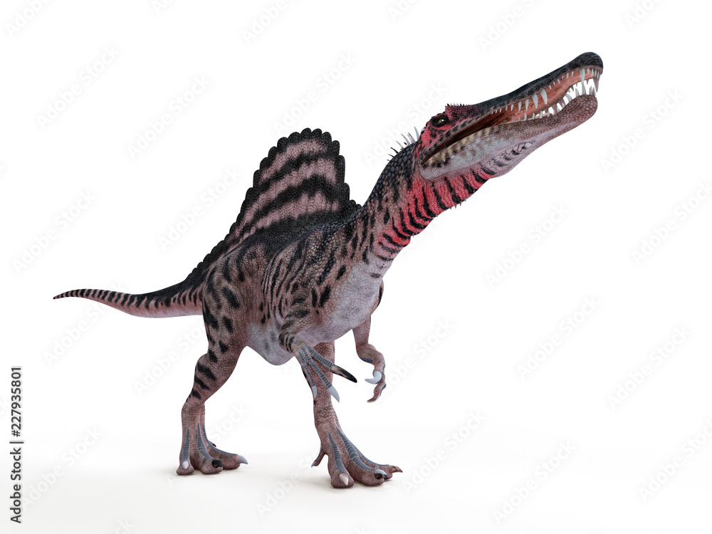 3d rendered illustration of a spinosaurus 3d rendered illustration of a spinosaurus