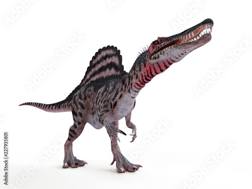 3d rendered illustration of a spinosaurus © Sebastian Kaulitzki