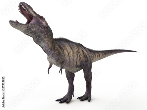 3d rendered illustration of a tyrannosaurus rex