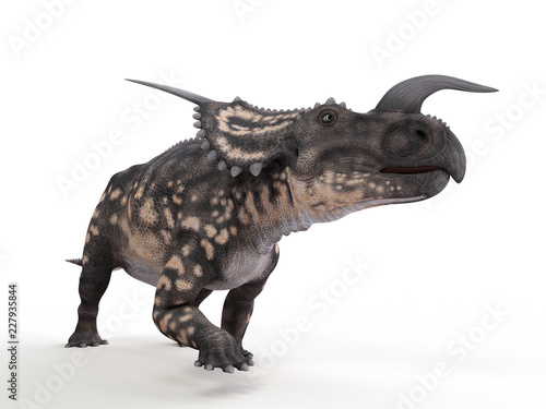 3d rendered illustration of a einiosaurus © Sebastian Kaulitzki