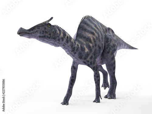3d rendered illustration of a Saurolophus photo
