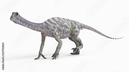 3d rendered illustration of a anchisaurus