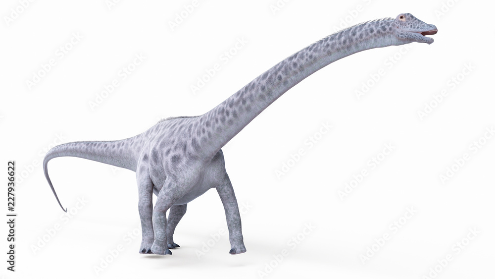 Fototapeta premium 3d rendered illustration of a diplosaurus