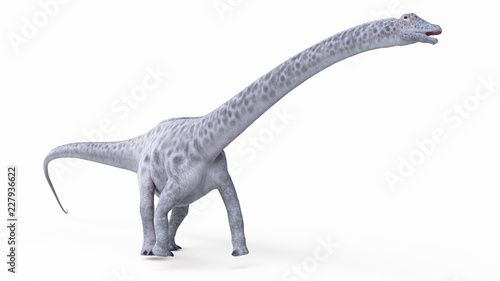 3d rendered illustration of a diplosaurus