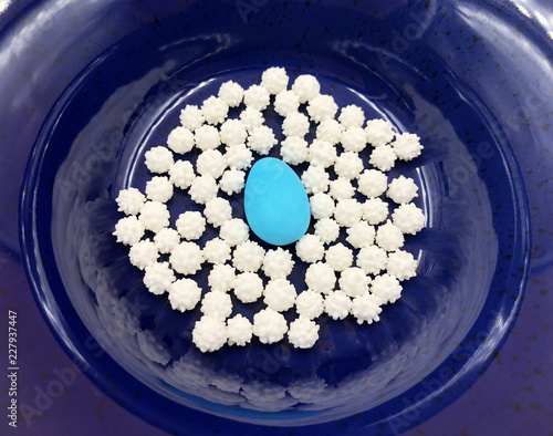 Εκτύπωση καμβά One turquoise sugared almond or comfit on blue ceramic background with white small sugar candy