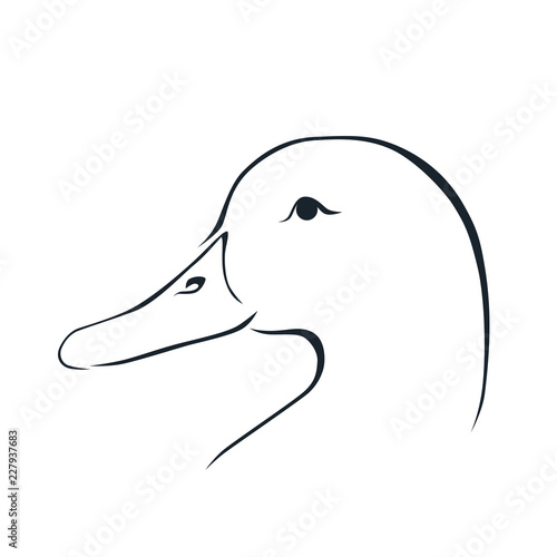head of a canard outline vector icon