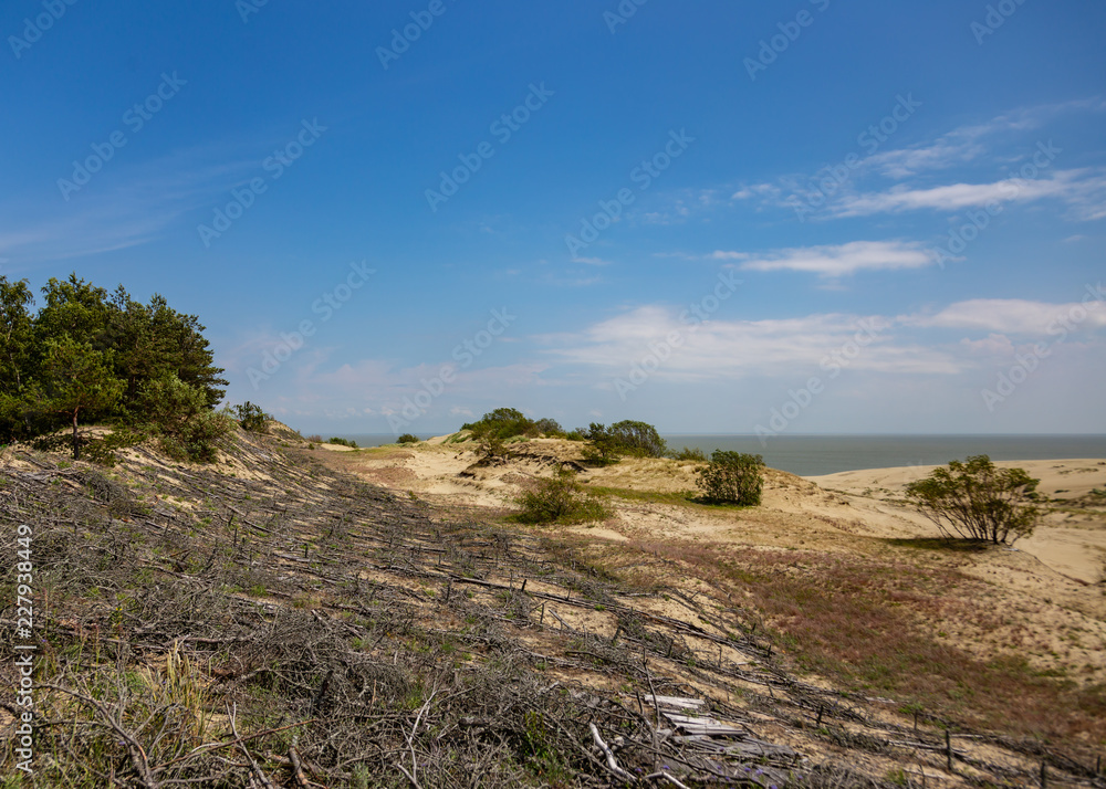 sand dunes on the Curonian Spit
