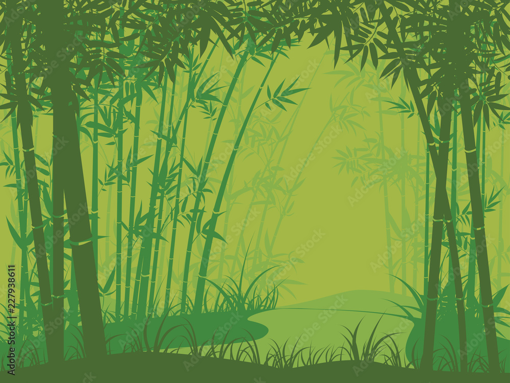 Naklejka premium Scena lasu bambusowego