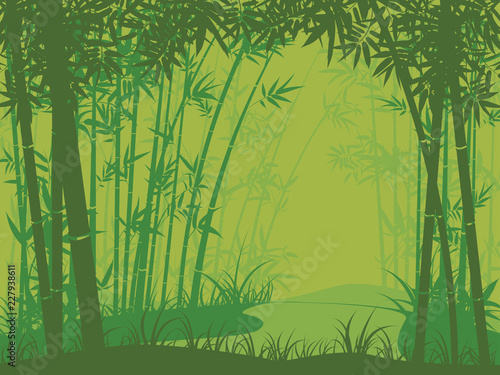 Fototapeta Naklejka Na Ścianę i Meble -  Bamboo forest scene