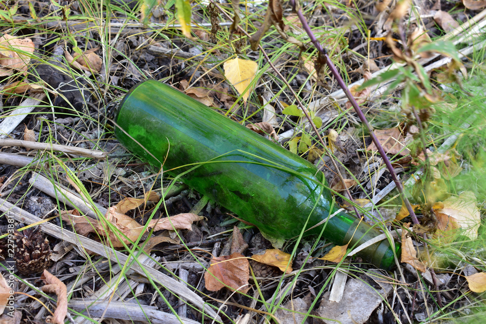 Obraz premium Garbage in the forest.