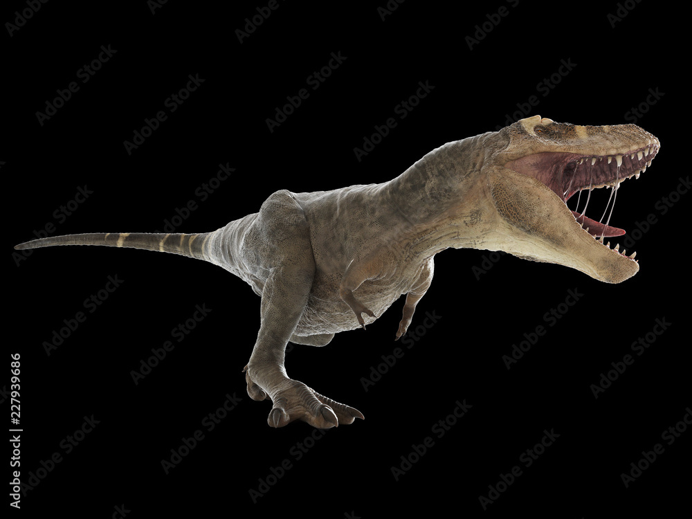Fototapeta premium 3d rendered illustration of a T-rex on black background