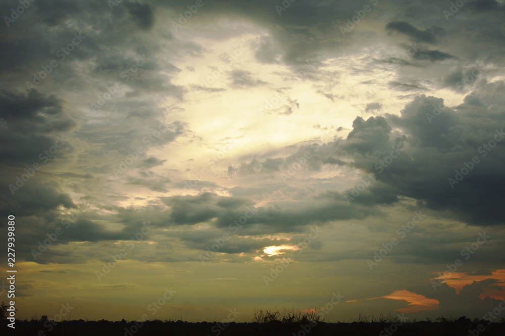 paddy field on sunset twilight sky background in Thailand countryside paddy field on sunset twilight sky background in Thailand countryside