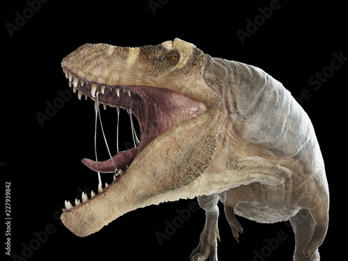 3d rendered illustration of a T-rex on black background