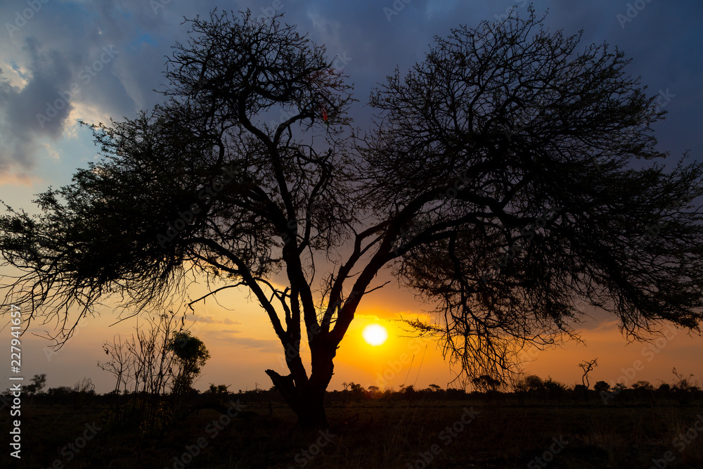 African Sunset