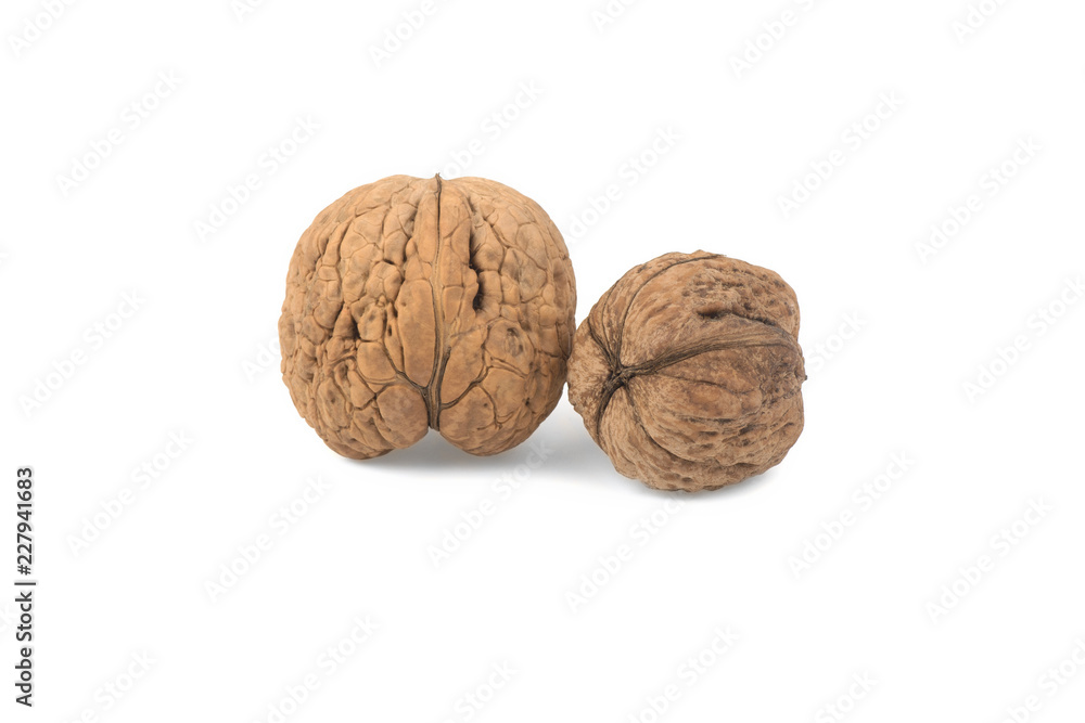 walnuts isolated on white background walnuts isolated on white background