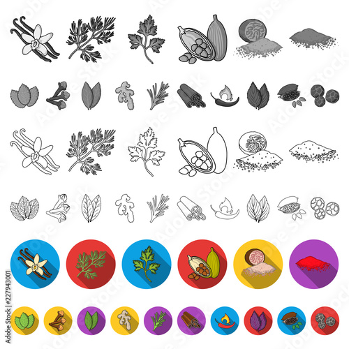 Herb and spices flat icons in set collection for design.Different kinds of seasonings vector symbol stock web illustration.