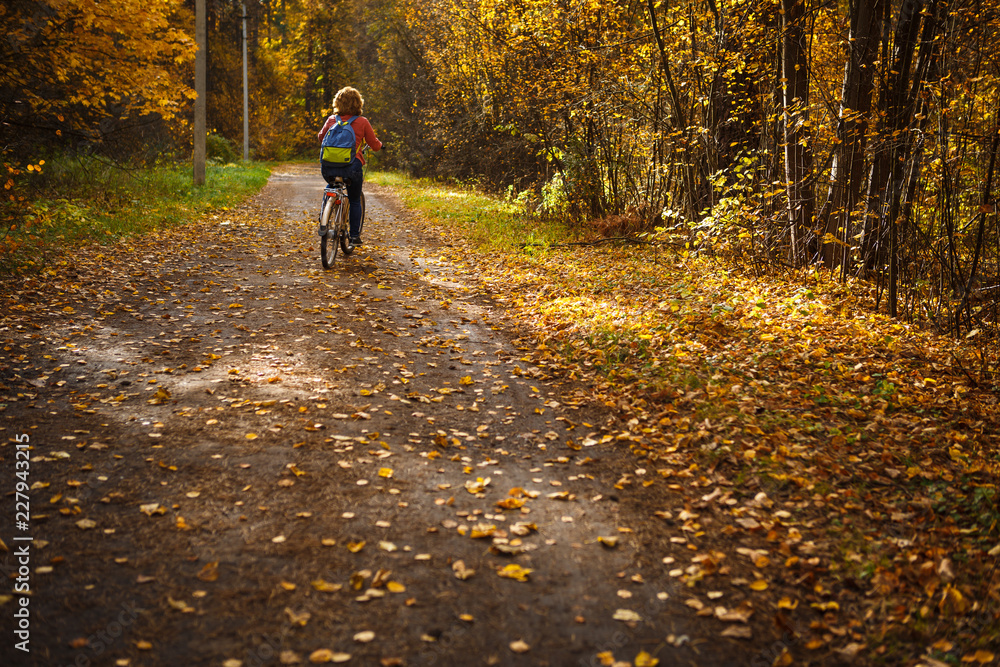 Golden autumn, yellow trees in sunlight, leaves underfoot. Walk through the fabulous autumn forest, Cycling through the yellow forest and the Golden alley Golden autumn, yellow trees in sunlight, leaves underfoot. Walk through the fabulous autumn forest, Cycling through the yellow forest and the Golden alley