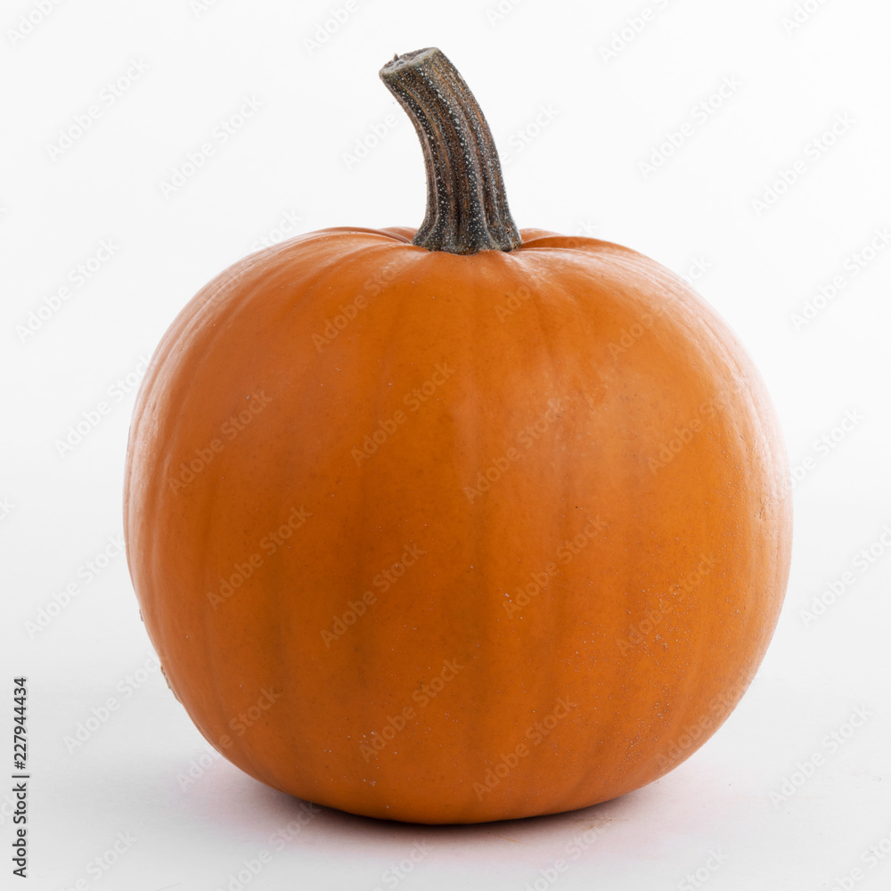 Obraz premium One orange pumpkin