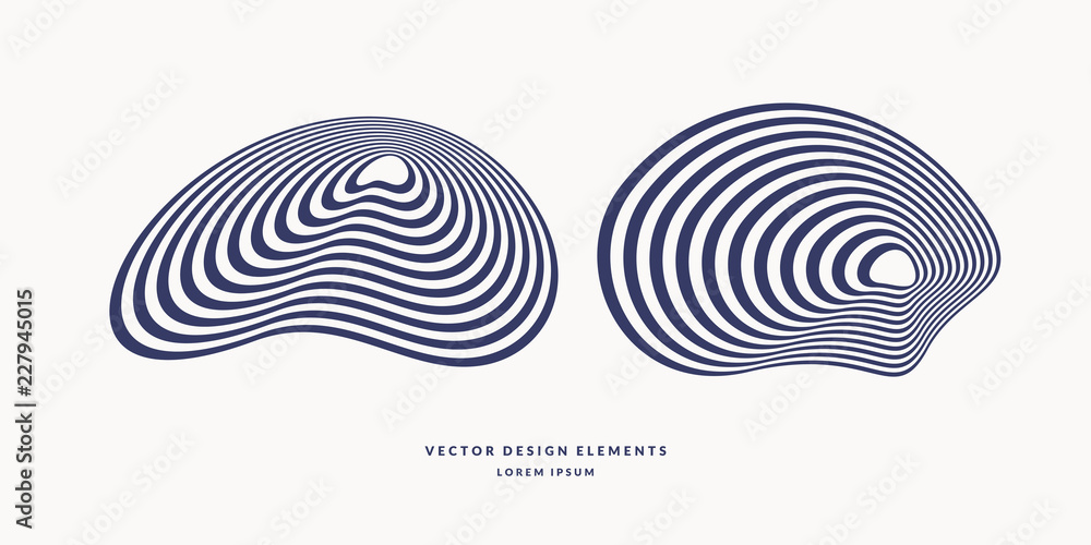 The amorphous element with the effect of visual distortion. Black and white stripes. The amorphous element with the effect of visual distortion. Black and white stripes.