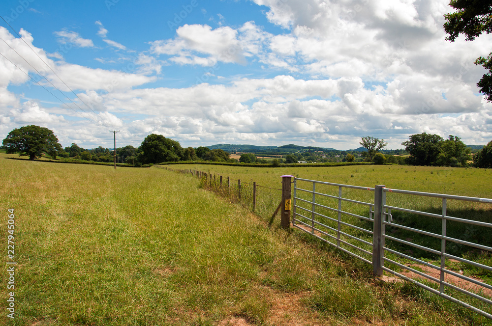Summer landscape in the British countryside.