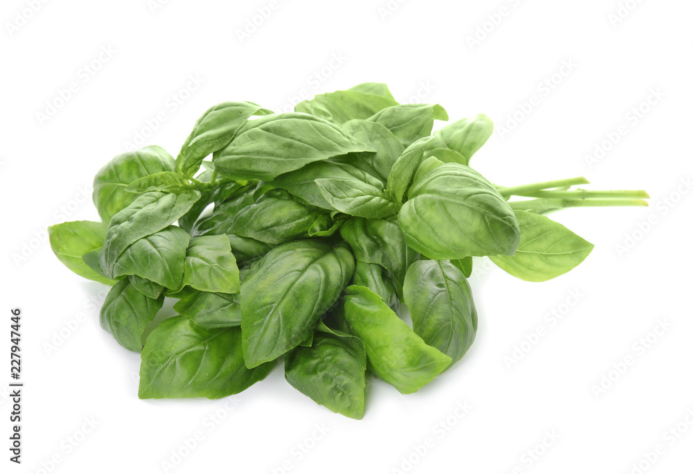 Fresh green basil leaves on white background Fresh green basil leaves on white background