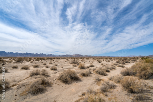 Mohave Desert landscape with blue cloudy skies