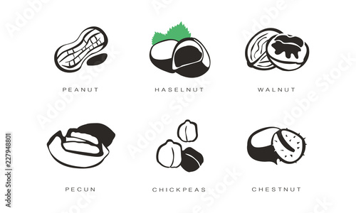 Nuts and seeds icons set, peanut, hazelnut, walnut, pecan, chickpeas, chestnut monochrome vector Illustration on a white background