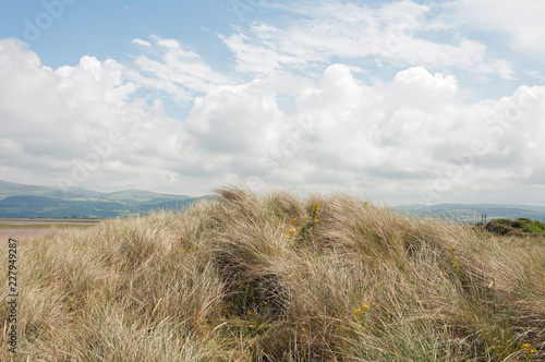 Sand dunes in the summertime.