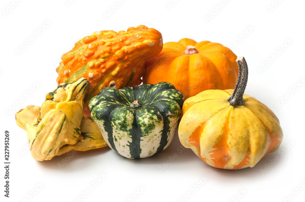 Obraz premium closeup of colorful gourds for halloween decoration on white background