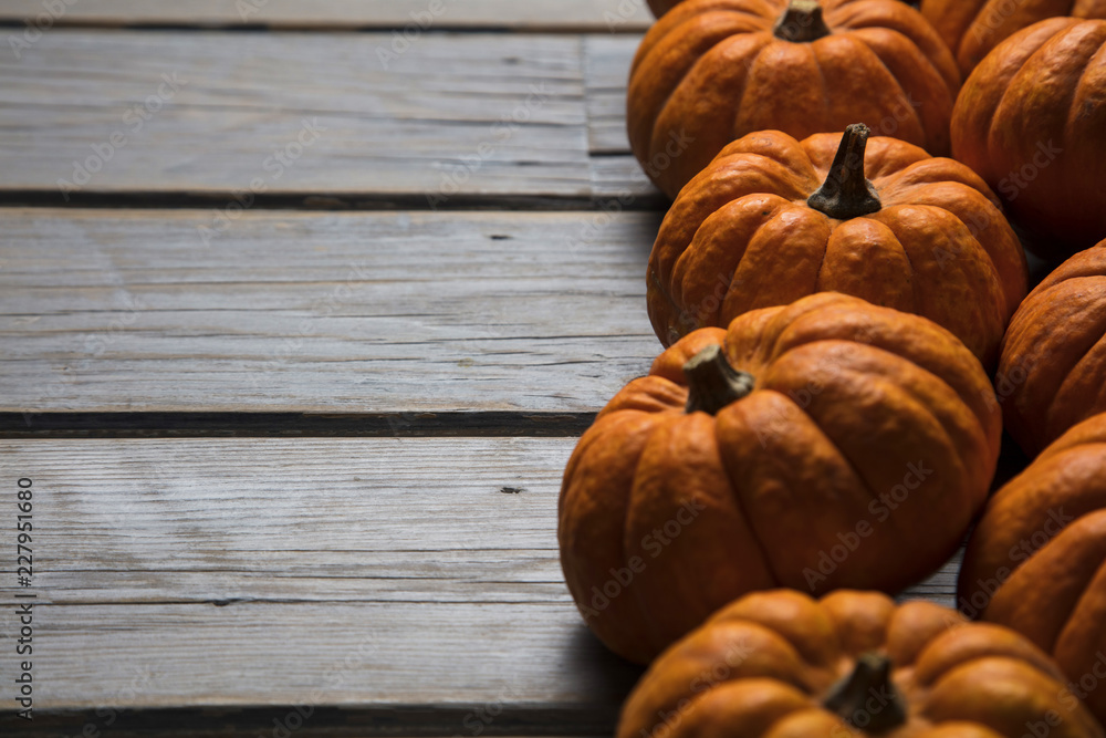 MIni pumpkins arranged on a rustic wooden background MIni pumpkins arranged on a rustic wooden background