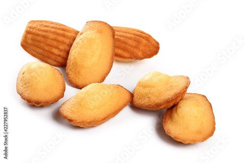 Fotografía madeleine sur fond blanc,pâtisserie