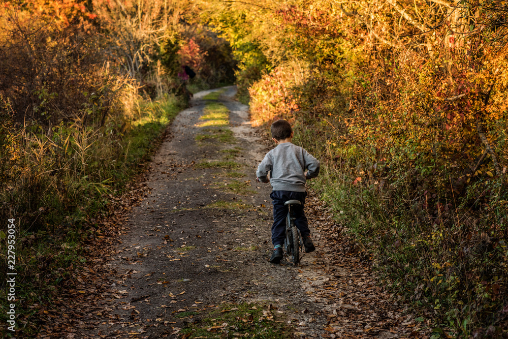 Obraz premium little boy from behing on a bicycle in utumn tree park