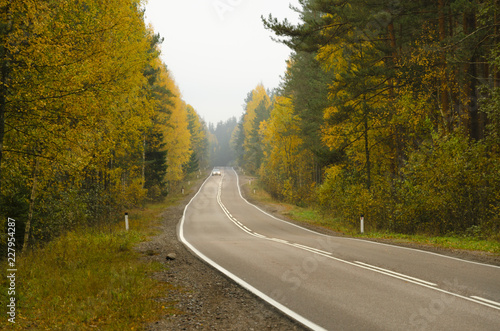 View on the perspective of the road with asphalt pavement. The road passes through the autumn forest. Tree leaves partially yellowed. In the distance, the headlights of an approaching car are visible.
