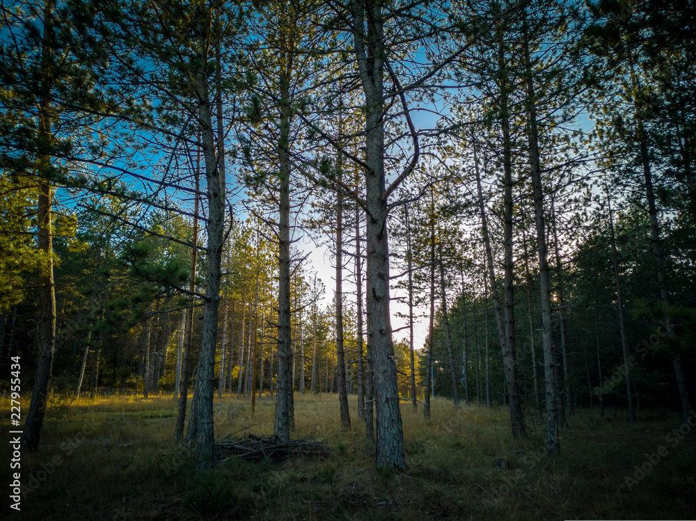 Fototapeta premium Cades Causse Noir Pouncho Millau Aveyron