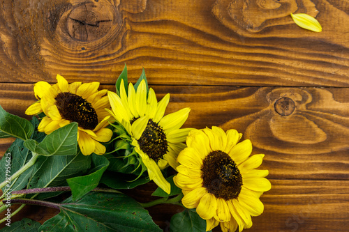 Fototapeta Naklejka Na Ścianę i Meble -  Decorative sunflowers on the wooden background