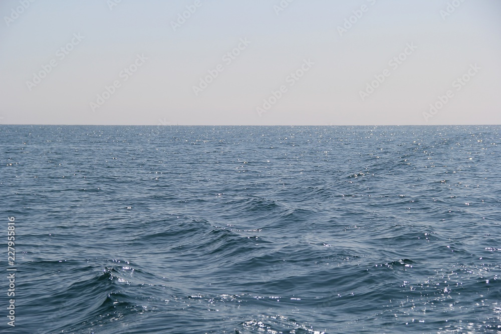 Fototapeta premium HOULE MARINE AU LARGE