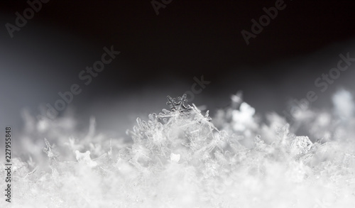 photo real snowflakes during a snowfall