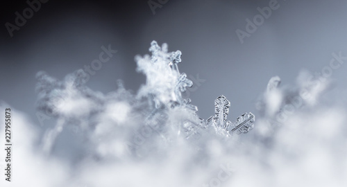 photo real snowflakes during a snowfall © vadim_fl