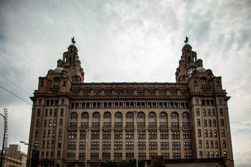 Liver building