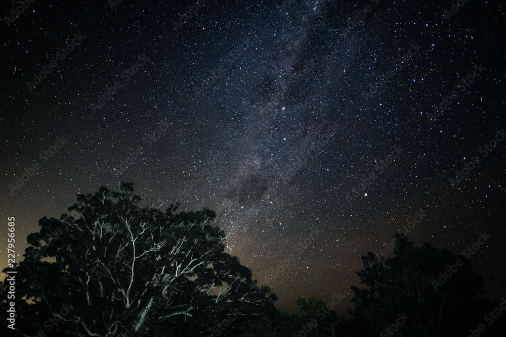 Fototapeta premium starry sky with stars