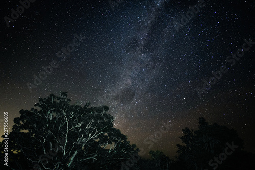 starry sky with stars