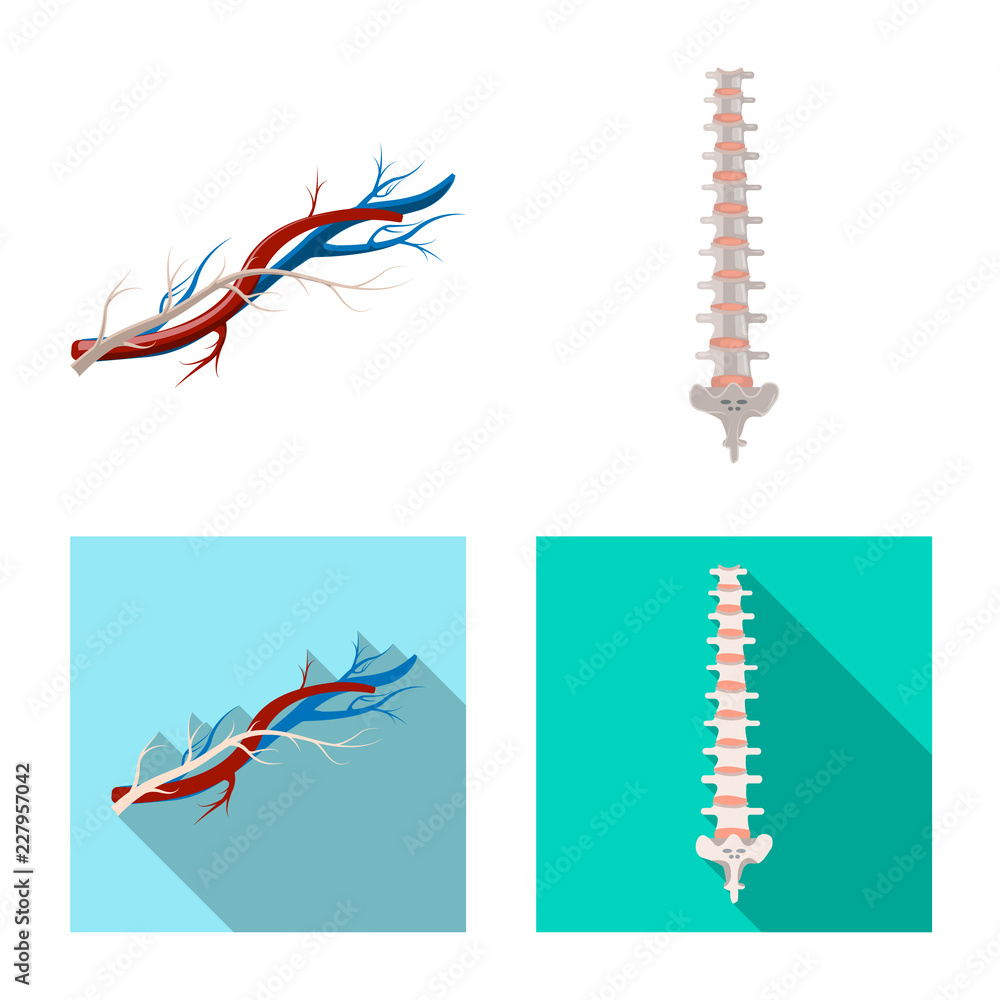Obraz premium Isolated object of body and human logo. Set of body and medical stock vector illustration.