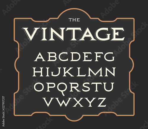 Vector set of vintage letters. Retro latin alphabet. Elegance old typeset. Serif letters collection.