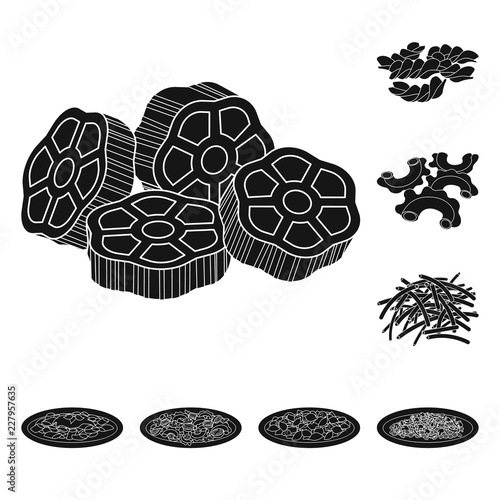 Vector illustration of pasta and carbohydrate icon. Set of pasta and macaroni stock symbol for web.