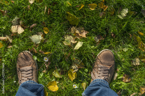 The view from the top on the legs. Men's sneakers on the green grass. A few yellow leaves and flowers in the grass.