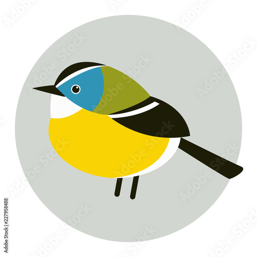 tit bird   vector illustration flat style profile side